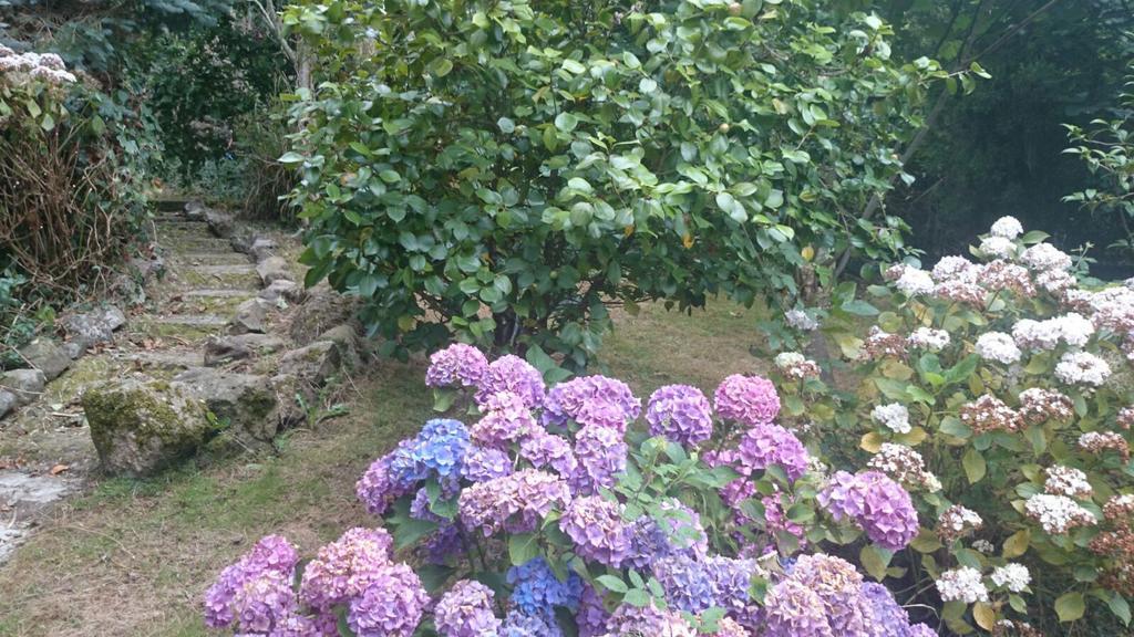 B&B El Jardin De Aes 蓬特维耶斯戈 外观 照片